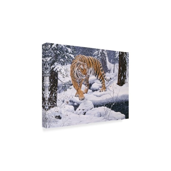 Jeff Tift 'Silent Hunter Siberian Tiger' Canvas Art,24x32